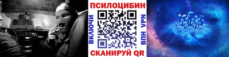 Псилоцибиновые грибы мицелий  kraken маркетплейс  Алупка  дарнет шоп 
